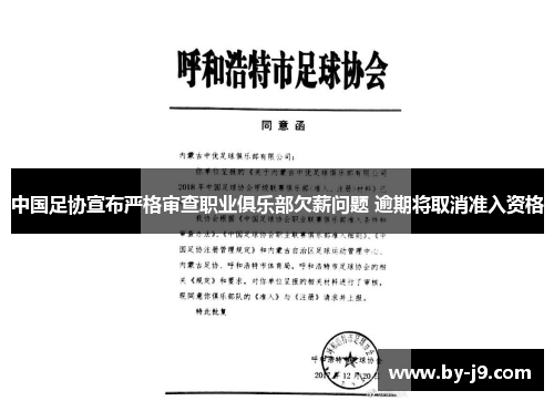 中国足协宣布严格审查职业俱乐部欠薪问题 逾期将取消准入资格